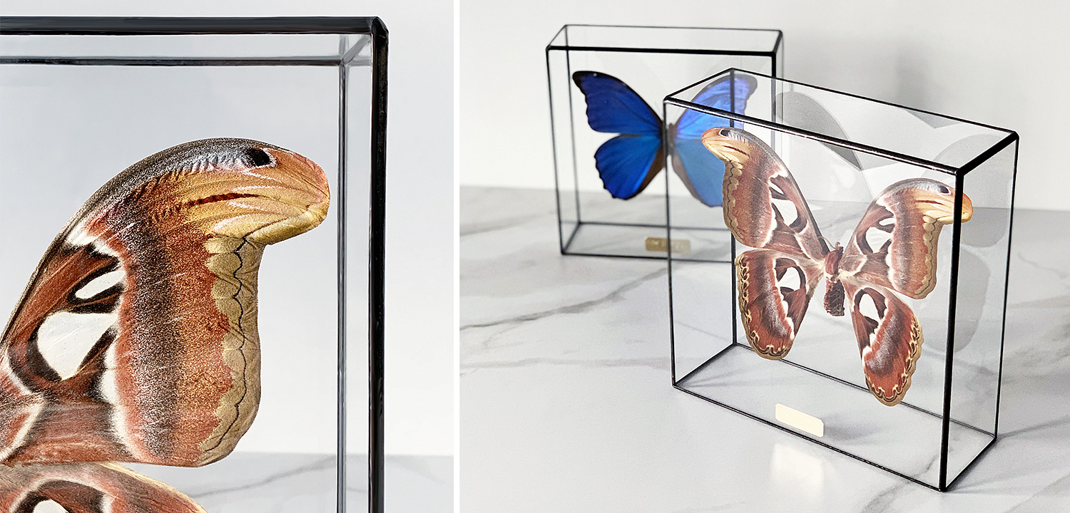 Статуэтка Butterfly Atlas Glass Box Статуэтка Butterfly Atlas Glass Box - Loft-Concept в Твери