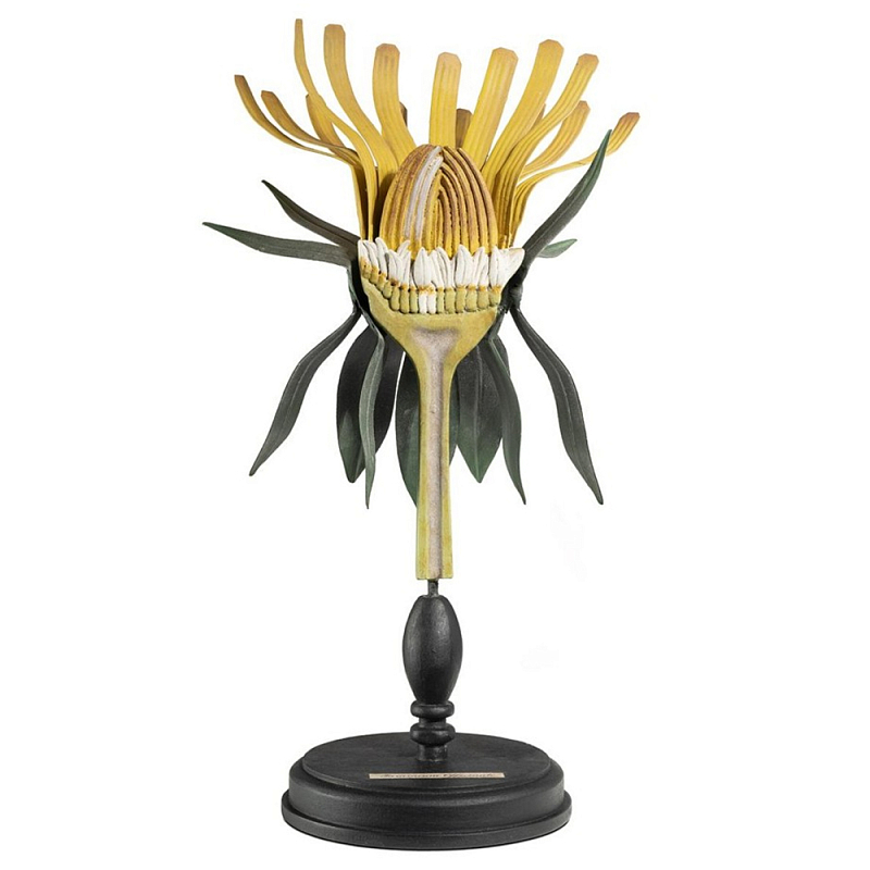 Статуэтка Dandelion Plant Черный Желтый Статуэтка Dandelion Plant Черный Желтый в Твери | Loft Concept