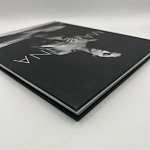 Коллекционная редкая книга Madonna: Nudes + by Martin H.M. Schreiber 2017 Букинистика варинант исполнения - 4 | Loft Concept в Твери