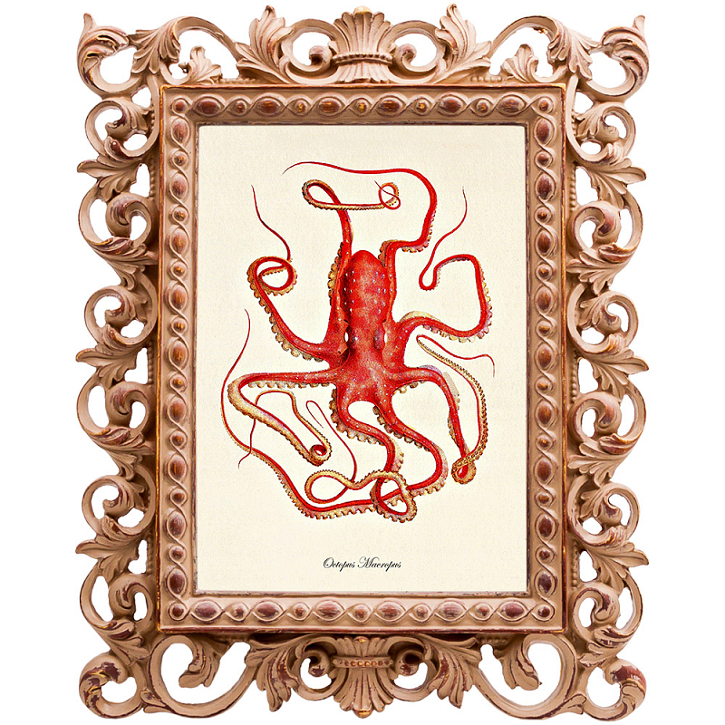 Постер Red Squid Poster Бежевый Красный Постер Red Squid Poster Бежевый Красный в Твери | Loft Concept