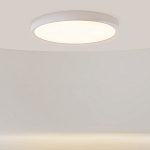 Потолочный светильник Incognito 2700-4000К 46Вт варинант исполнения - 2 | Loft Concept в Твери