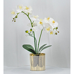 Декоративный искусственное растение Lush Orchid варинант исполнения - 2 | Loft Concept в Твери