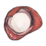 Сет из 4-х тарелок «QARTZITE» варинант исполнения - 5 | Loft Concept в Твери