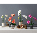 Декоративный искусственное растение Pink orchid варинант исполнения - 11 | Loft Concept в Твери