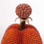 Статуэтка тропический фрукт Tropical Fruit Orange Prickly Berry варинант исполнения - 2 | Loft Concept в Твери
