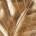 Статуэтка Metal Flowers Gold Black powder варинант исполнения - 2 | Loft Concept в Твери