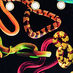 Штора Seletti Snakes Black варинант исполнения - 1 | Loft Concept в Твери