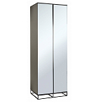 Двухдверный шкаф с зеркальными дверцами Strict Lines варинант исполнения - 1 | Loft Concept в Твери