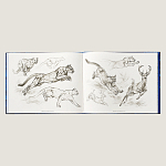 Лимитированная подарочная книга HERMES Fierce and Fragile book, English version варинант исполнения - 4 | Loft Concept в Твери