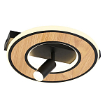 Потолочный светильник круглый GAVIN WOOD варинант исполнения - 1 | Loft Concept в Твери