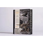 Книга Fantastic Gustave Dore варинант исполнения - 3 | Loft Concept в Твери