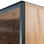 Шкаф Condition варинант исполнения - 3 | Loft Concept в Твери