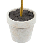 Декоративный искусственное растение Boxwood One варинант исполнения - 3 | Loft Concept в Твери