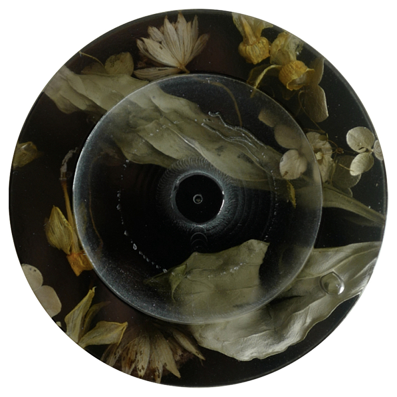Круглая подставка под благовония из эпоксидной смолы с цветами черная Epoxy Resin Flowers Incense Stand Black Черный Круглая подставка под благовония из эпоксидной смолы с цветами черная Epoxy Resin Flowers Incense Stand Black Черный в Твери | Loft Concept
