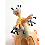 Статуэтка тропический фрукт Pandora Tropical Fruit Orange варинант исполнения - 3 | Loft Concept в Твери