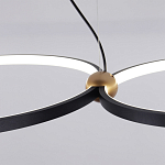 Люстра подвесная светодиодная черный металл Ring Horizontal варинант исполнения - 11 | Loft Concept в Твери