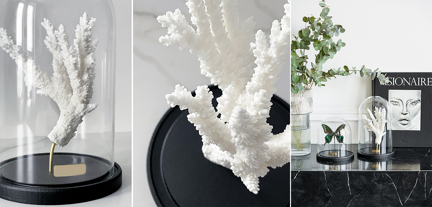Статуэтка Natural Coral Branch Glass Cloche Статуэтка Natural Coral Branch Glass Cloche - Loft-Concept в Твери