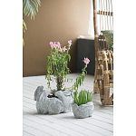 Кашпо A collection of baby rabbits варинант исполнения - 4 | Loft Concept в Твери