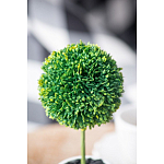 Декоративный искусственное растение Boxwood One варинант исполнения - 8 | Loft Concept в Твери