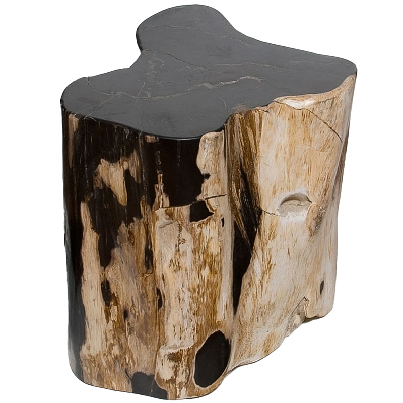 Стул из окаменелого дерева Petrified Wood Black Коричневый Бежевый Стул из окаменелого дерева Petrified Wood Black Коричневый Бежевый в Твери | Loft Concept