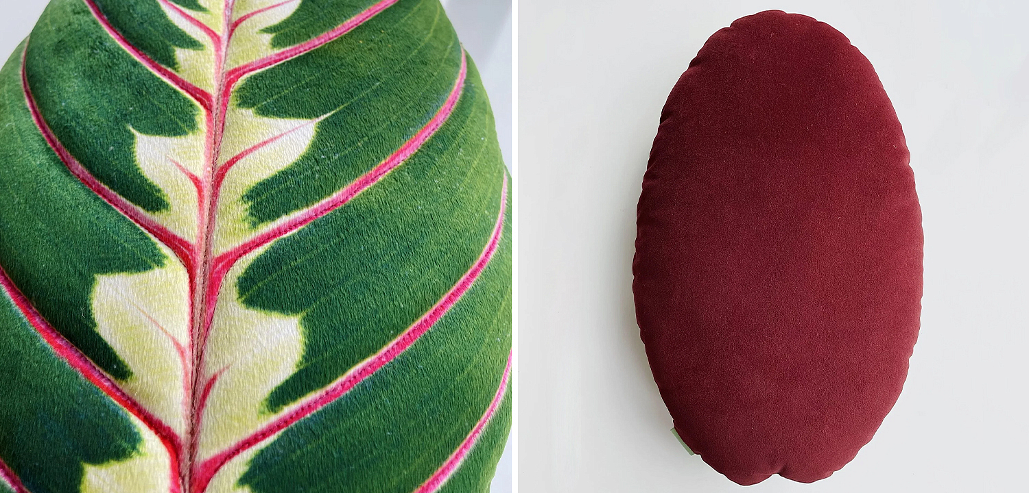Декоративная подушка Botanical Cushion Maranta Trikolor Декоративная подушка Botanical Cushion Maranta Trikolor - Loft-Concept в Твери