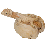 Статуэтка из дерева ящерица Animals of the World варинант исполнения - 2 | Loft Concept в Твери