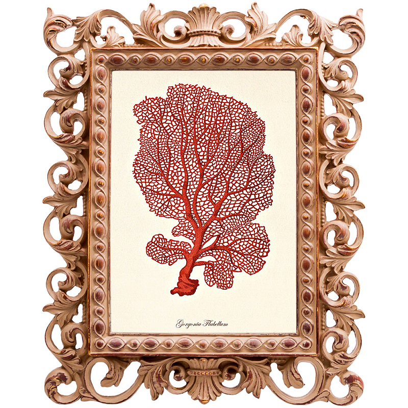 Постер Red Coral Poster 5 Бежевый Красный Постер Red Coral Poster 5 Бежевый Красный в Твери | Loft Concept