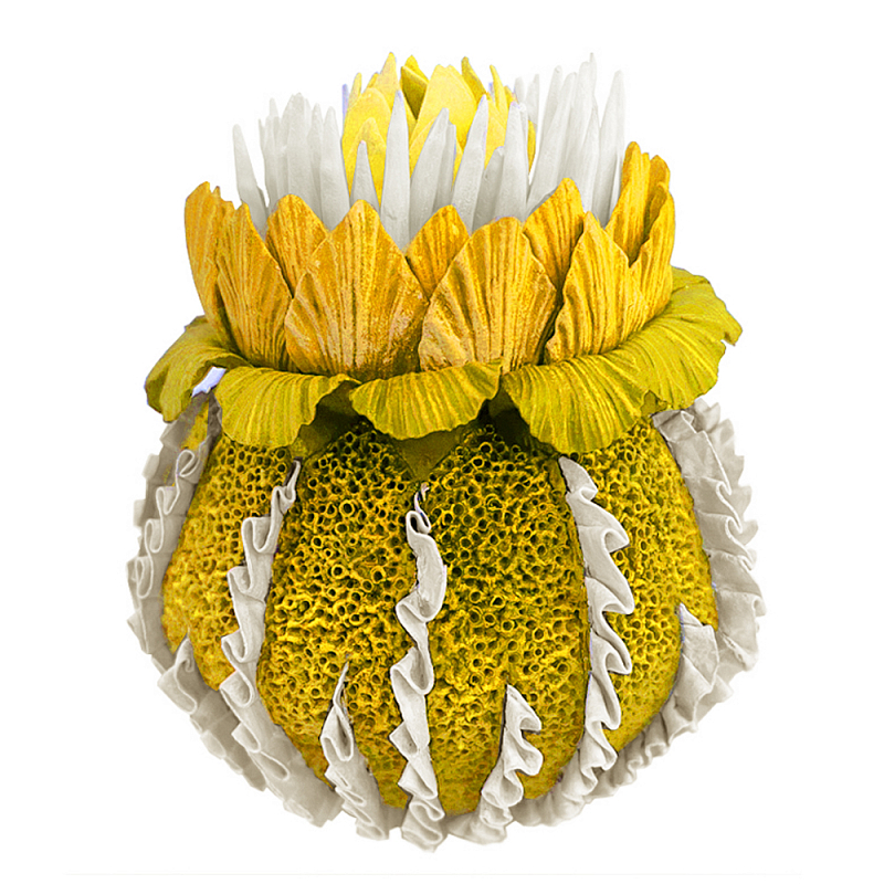Желтый Экзотический фрукт Yellow Pandora Exotic Fruit 44 Желтый Желтый Экзотический фрукт Yellow Pandora Exotic Fruit 44 Желтый в Твери | Loft Concept