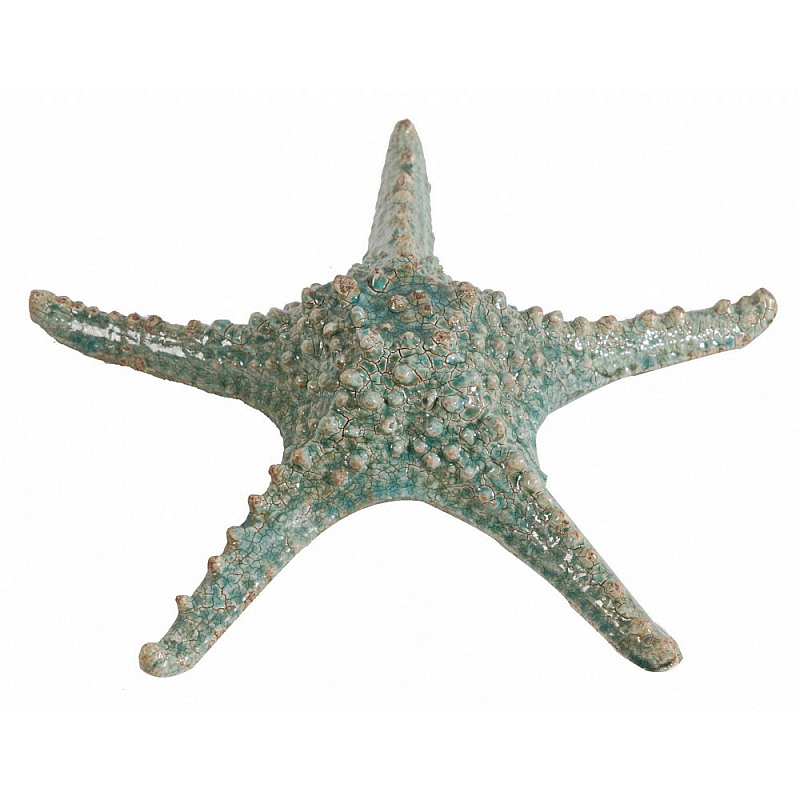 Аксессуар Starfish Бирюзовый Серый Аксессуар Starfish Бирюзовый Серый в Твери | Loft Concept