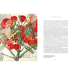Прекрасно иллюстрированная книга более 100 ботанических произведений Plant Hunters Atlas варинант исполнения - 5 | Loft Concept в Твери