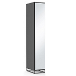 Шкаф-пенал с зеркальной дверцей и фасадом цвета графит Strict Lines варинант исполнения - 2 | Loft Concept в Твери