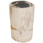 Стул из окаменелого дерева Petrified Wood варинант исполнения - 1 | Loft Concept в Твери