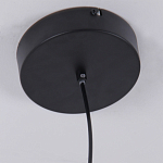 Люстра подвесная светодиодная черный металл Ring Horizontal варинант исполнения - 6 | Loft Concept в Твери