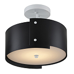 Потолочный светильник круглый светодиодный Semicircular White Panels чёрный варинант исполнения - 2 | Loft Concept в Твери