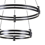 Люстра светодиодная с 2-мя плафонами в форме колец из акрила и алюминия с пультом для регулировки света Ring Horizontal Black варинант исполнения - 1 | Loft Concept в Твери