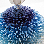 Статуэтка Синий тропический фрукт Tropical Fruit Pandora 4 варинант исполнения - 1 | Loft Concept в Твери