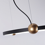 Люстра подвесная светодиодная черный металл Ring Horizontal варинант исполнения - 3 | Loft Concept в Твери