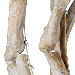 Люстра круглая в виде веток деревьев Natural Driftwood варинант исполнения - 3 | Loft Concept в Твери