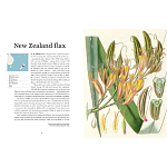 Прекрасно иллюстрированная книга более 100 ботанических произведений Plant Hunters Atlas варинант исполнения - 3 | Loft Concept в Твери