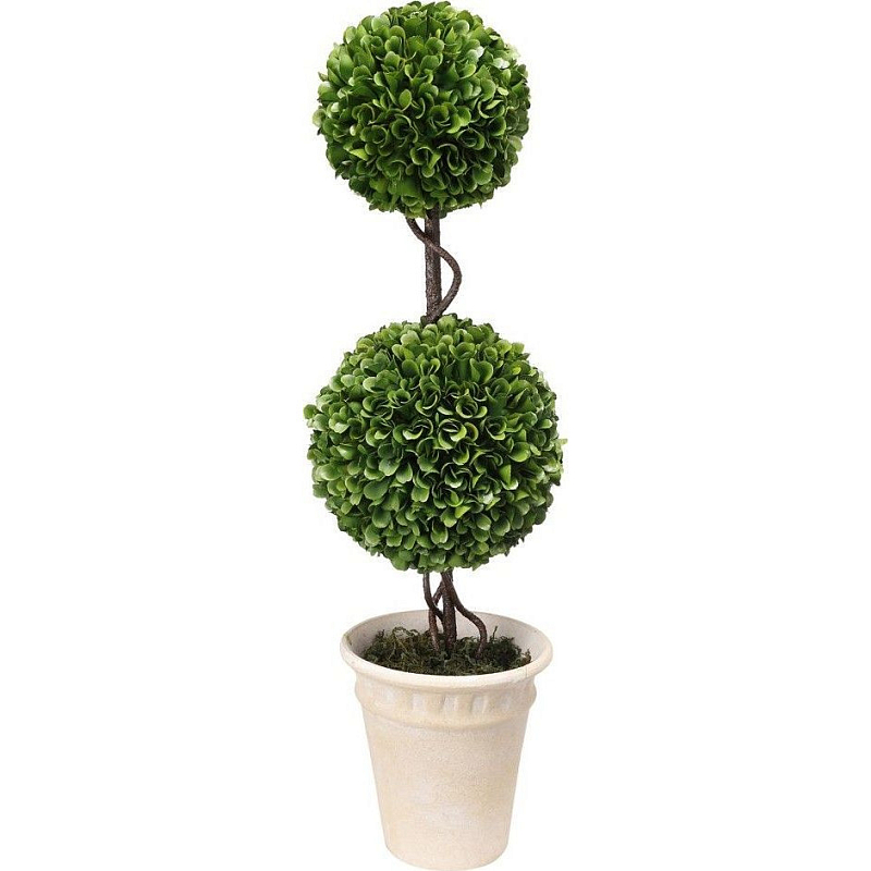 Декоративный искусственное растение Boxwood Зеленый Бежевый Коричневый Декоративный искусственное растение Boxwood Зеленый Бежевый Коричневый в Твери | Loft Concept