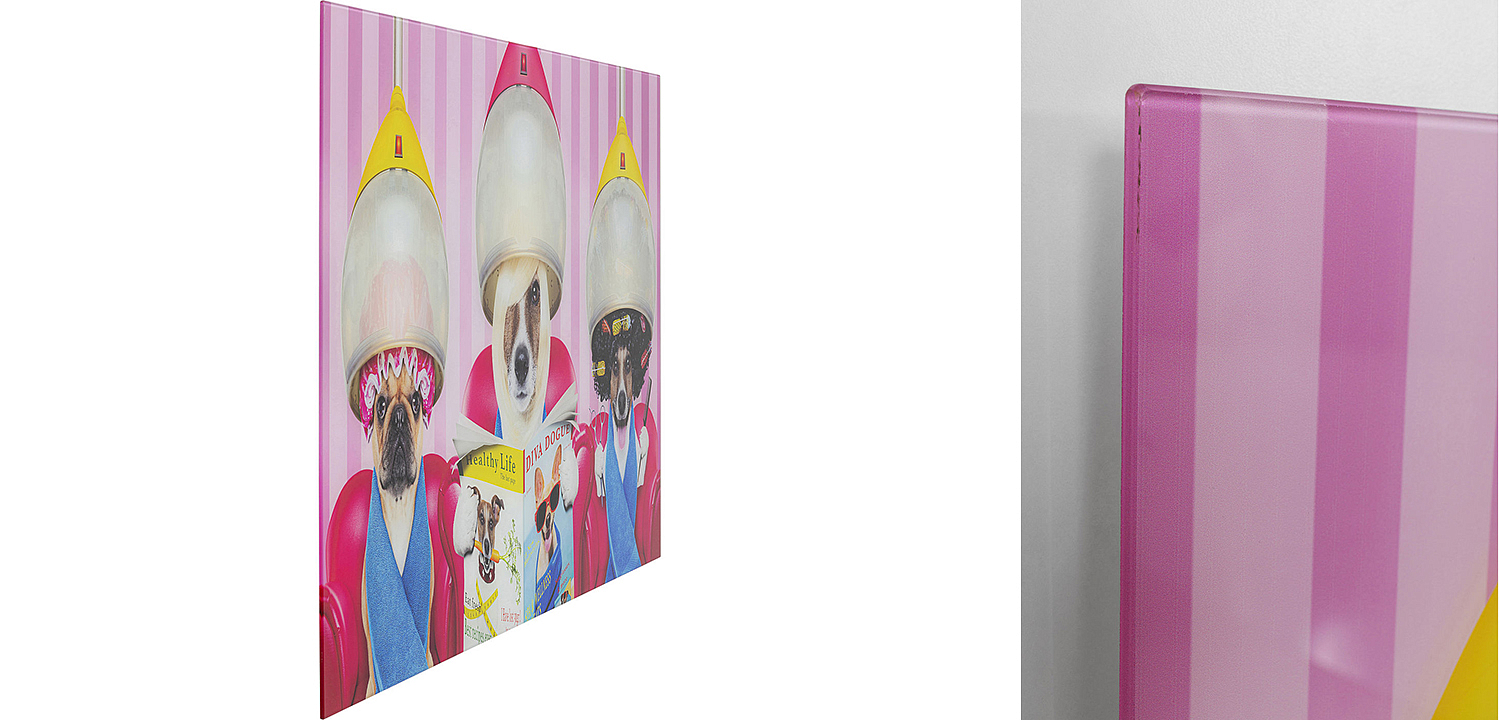 Картина Dogs in a beauty salon  - Loft-Concept в Твери