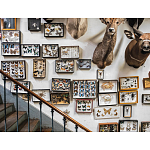 Книга Extraordinary Collections: French Interiors варинант исполнения - 11 | Loft Concept в Твери