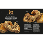 Книга Treasures of India From Antiquity to Modernity варинант исполнения - 3 | Loft Concept в Твери