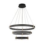 Люстра светодиодная с 3-мя плафонами в форме колец из акрила и алюминия с пультом для регулировки света Ring Horizontal Anthracite варинант исполнения - 6 | Loft Concept в Твери