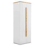 Шкаф платяной с белым глянцевым фасадом Grace of Furniture варинант исполнения - 1 | Loft Concept в Твери