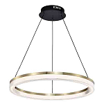 Люстра подвесная круглая светодиодная с золотым каркасом Ring Horizontal варинант исполнения - 3 | Loft Concept в Твери