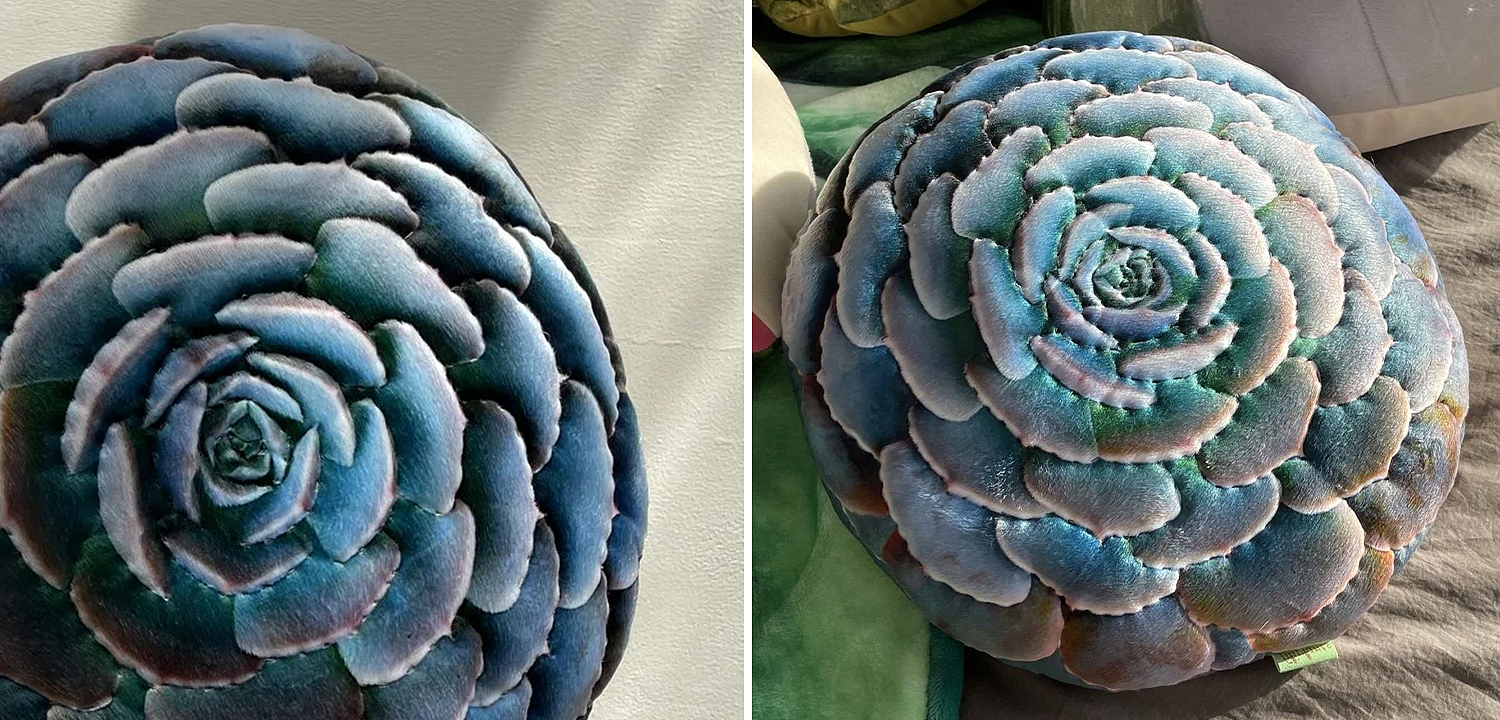 Декоративная подушка Botanical Cushion Succulentus Декоративная подушка Botanical Cushion Succulentus - Loft-Concept в Твери