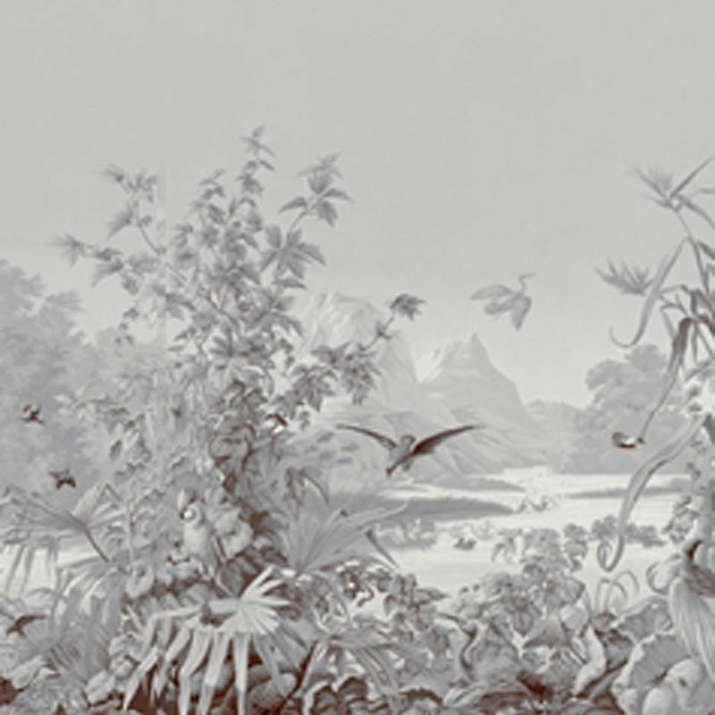 Обои ручная роспись Brazil Grey  в Твери | Loft Concept 