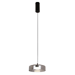 Подвесной светильник Blanton smoky 23 варинант исполнения - 2 | Loft Concept в Твери