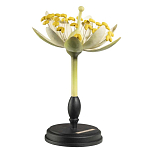 Статуэтка Tilia варинант исполнения - 2 | Loft Concept в Твери